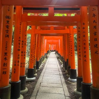 千本鳥居⛩️