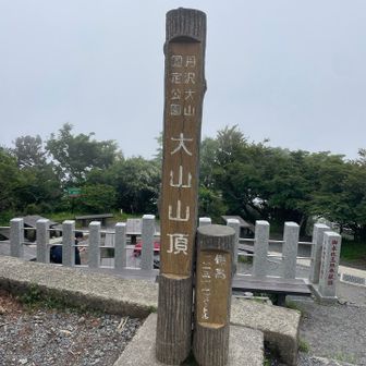 平日なので、寂しい山頂