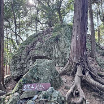 この岩思ったより迫力あった