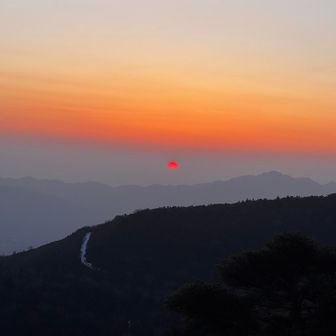 真っ赤っか☀️