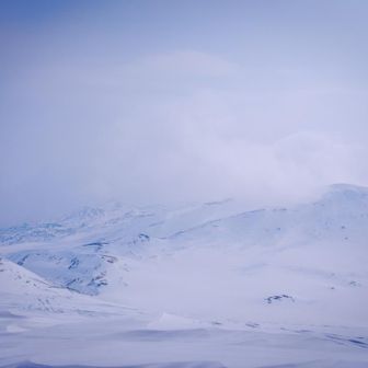 やはりお鉢はきれいです
