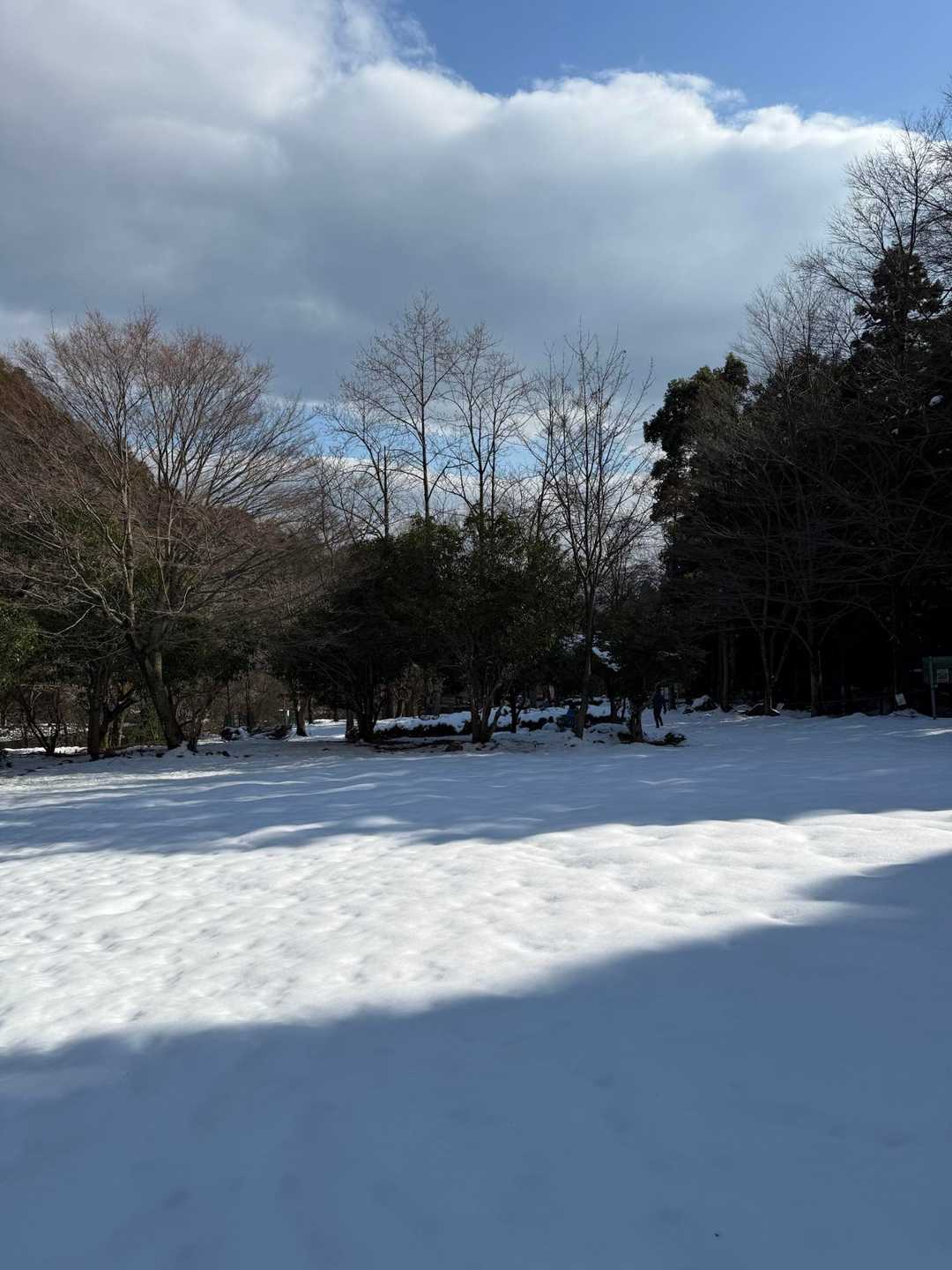 駐車場に到着