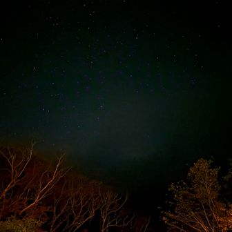 携帯でも、なんとか星空が撮れました