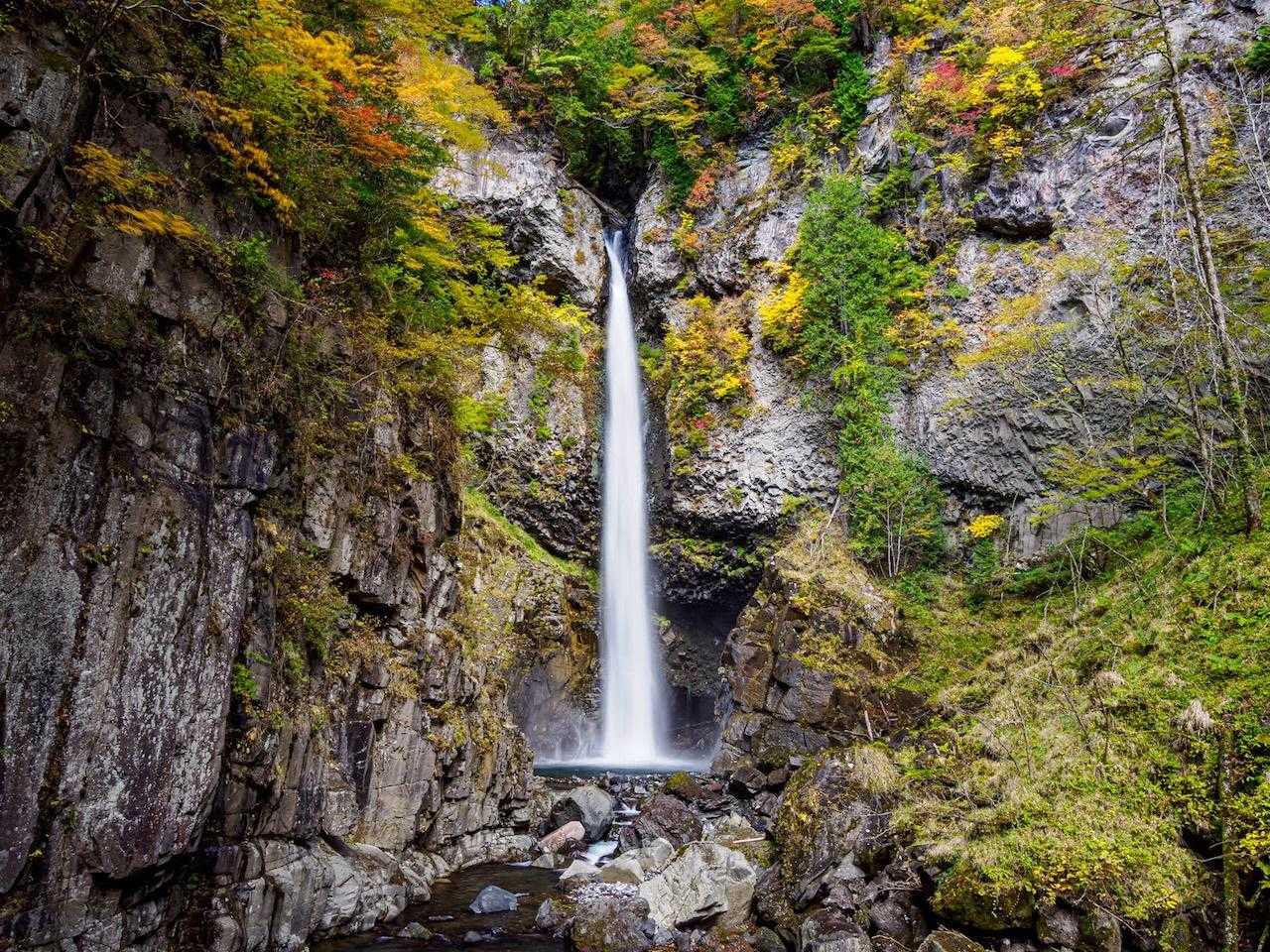 根尾の滝コースの写真