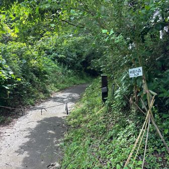 内田の森へ
