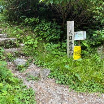 いつも突然現れる登山口。