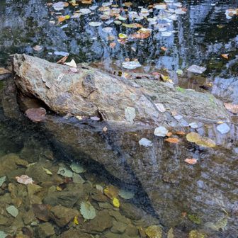 伝わらないけど水面がとてもキレイでした。台風で荒れた滝ツボを地元の方々が整備されたとのこと。感涙です