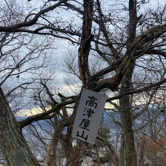 本日ファーストピーク