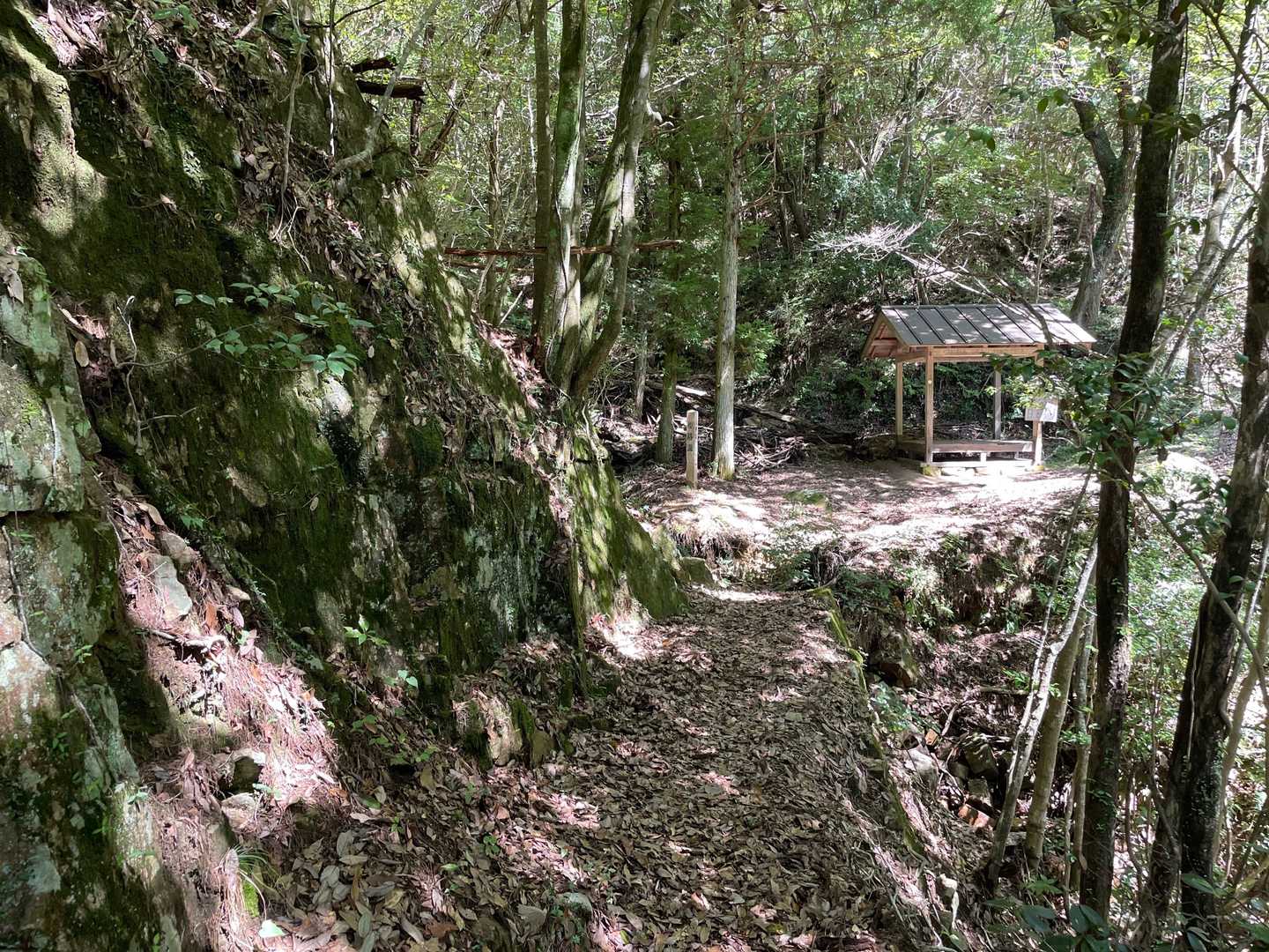 ゴロゴロした岩道が多いですが、整備された登山道を🚶🏻、