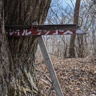 地味な山頂標識。眺望なし。