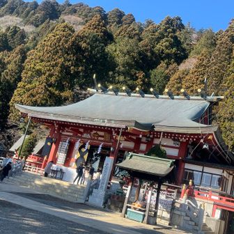 正月来たけども。