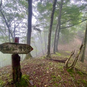猪ノ頭峠、ここからも厳しい下山