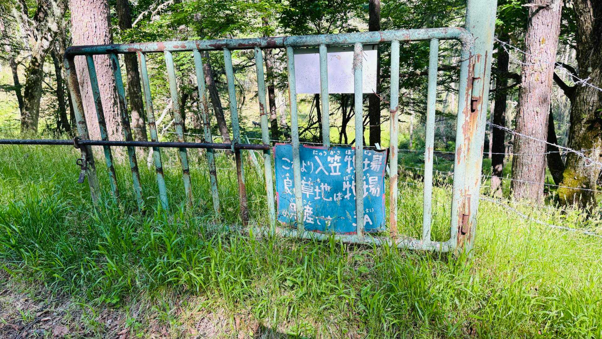入笠牧場の中を通ります。このゲートは開いていました