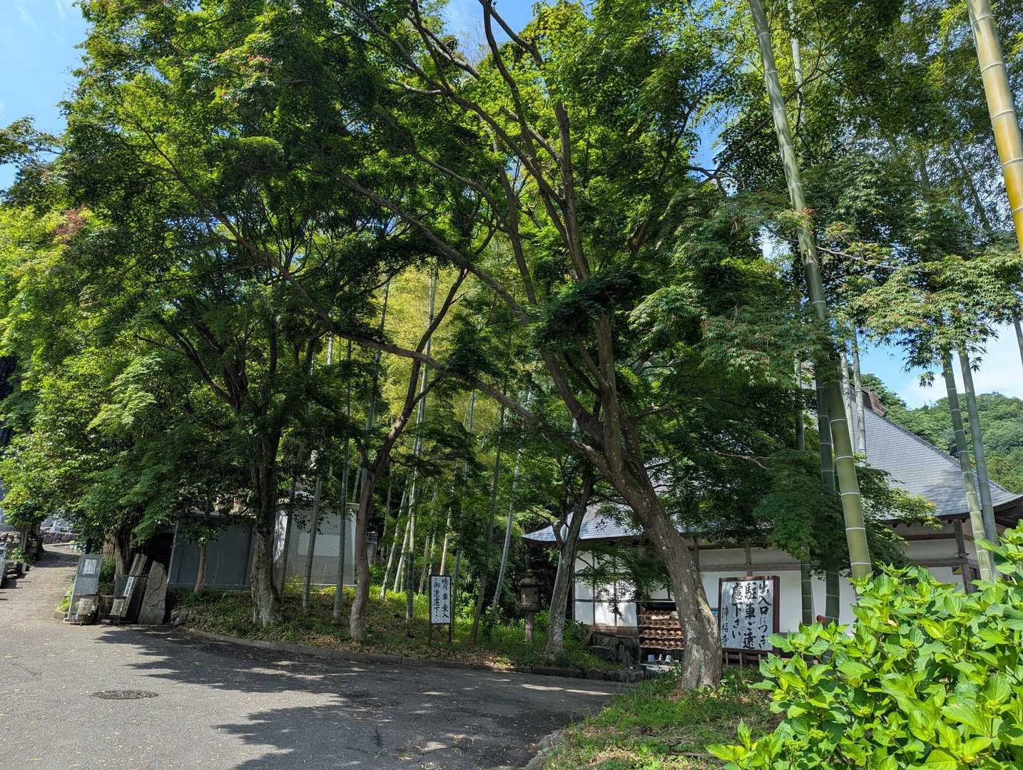 最後は石階段と緩めの参道。ここまでくれば大丈夫、一安心。