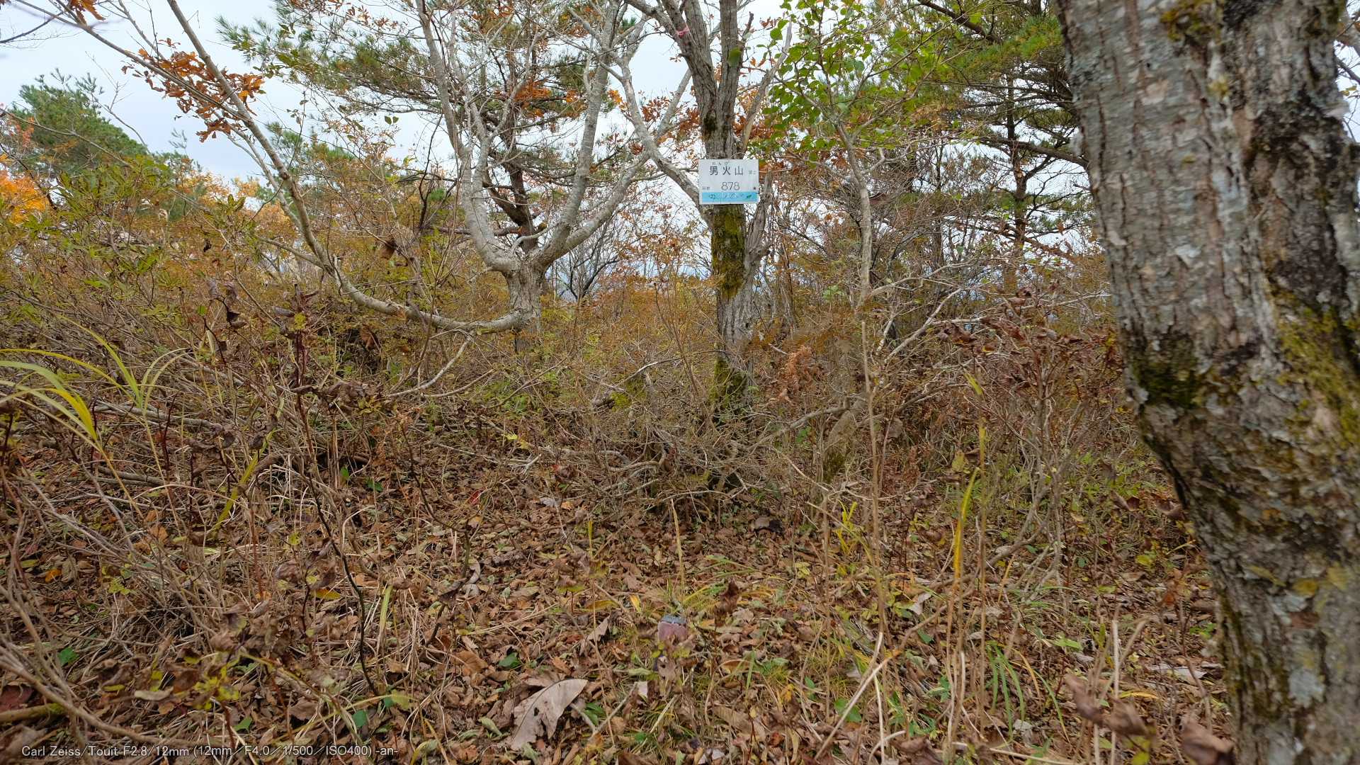 山頂到着。