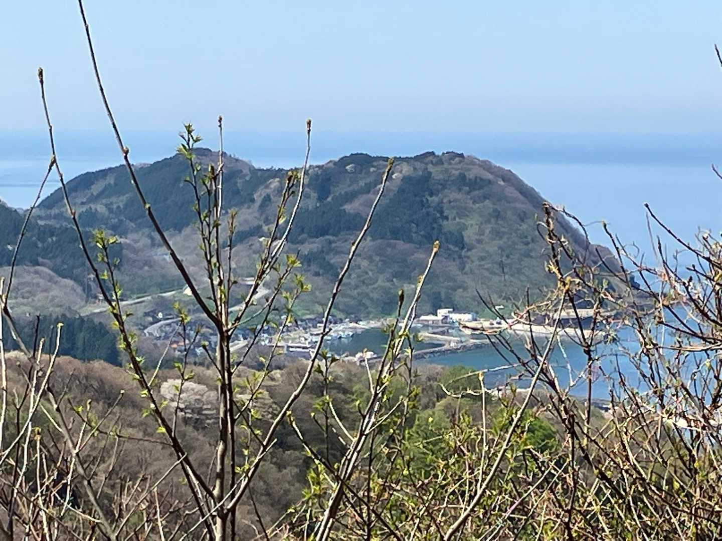 由良方面
