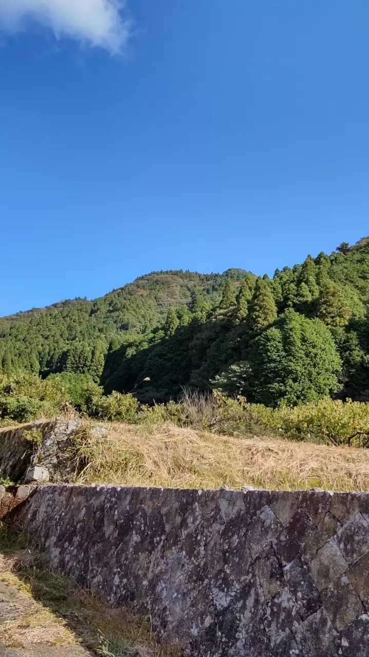 白髪岳の写真