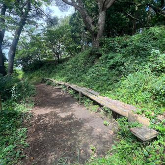 ベンチには誰もいません💦
休みたかったけど🦟が凄すぎて…💦

🦟虫に纏わりつかれながら急いで下山します👣