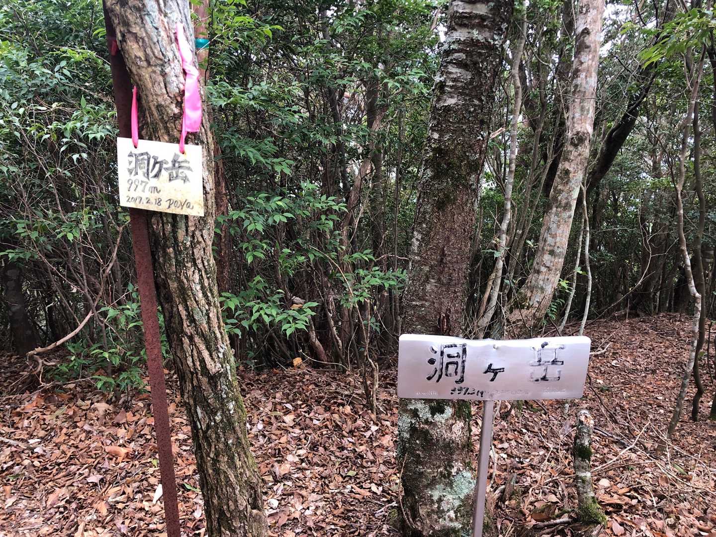 はい。洞ケ岳山頂。