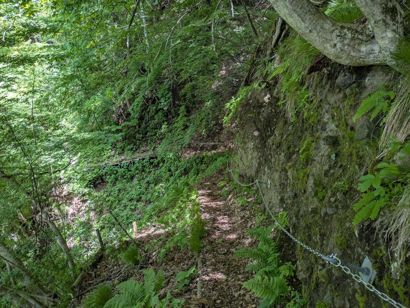 このトラバースは気をつけて⚠️

午前に砂鉢山と虫倉山ピクハンできてよかったぁ🙌
どちらのお山も楽しかったよぉ👍

最後までご覧頂きありがとうございました🙇