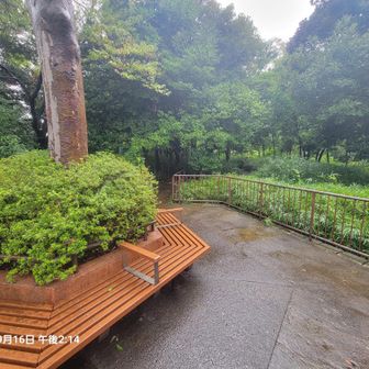 おとめ山山頂