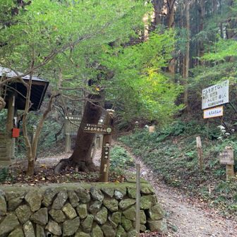 登山口