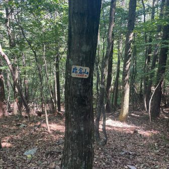 山名標識ありました。