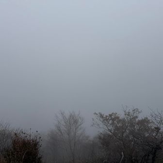 駒ヶ岳山頂からの眺望はガスのみ笑