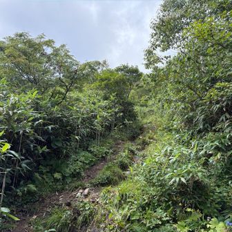 源太ヶ岳分岐に戻ってくる。