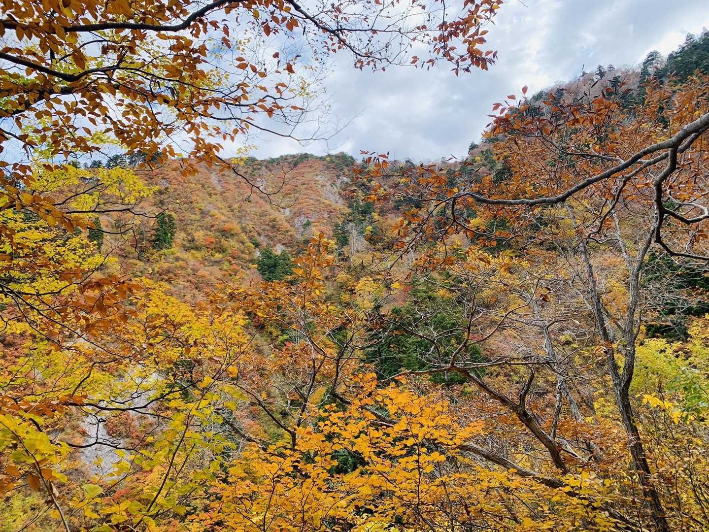 爼倉山登山口-爼倉山 往復コースの写真