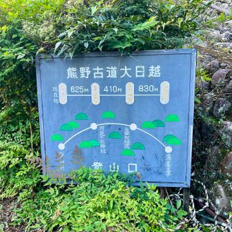 熊野古道大日越