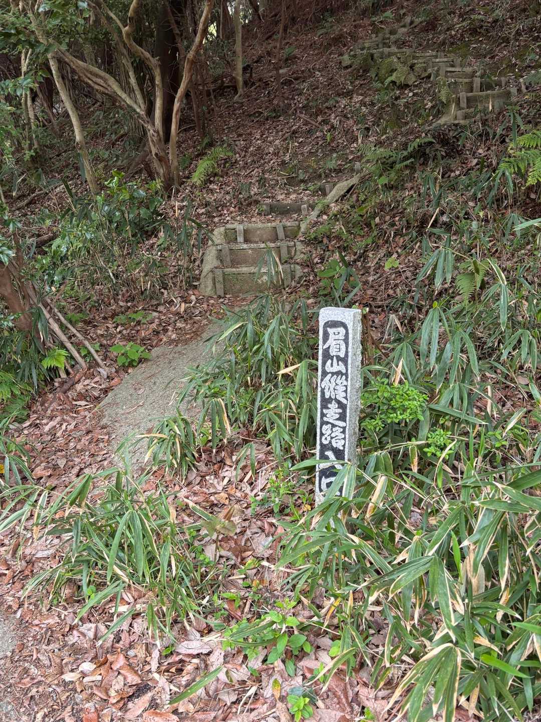 ここから始まります🚶‍♀️