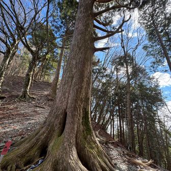 この方は、主のようです。