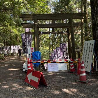 メインの参拝道は工事中。