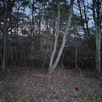 18.【⚪黒五山】[417m]

左右両端の木の幹🌳に山名板🪧🈶

此処が、本日のラストピークかと思われましたが…⁉️
