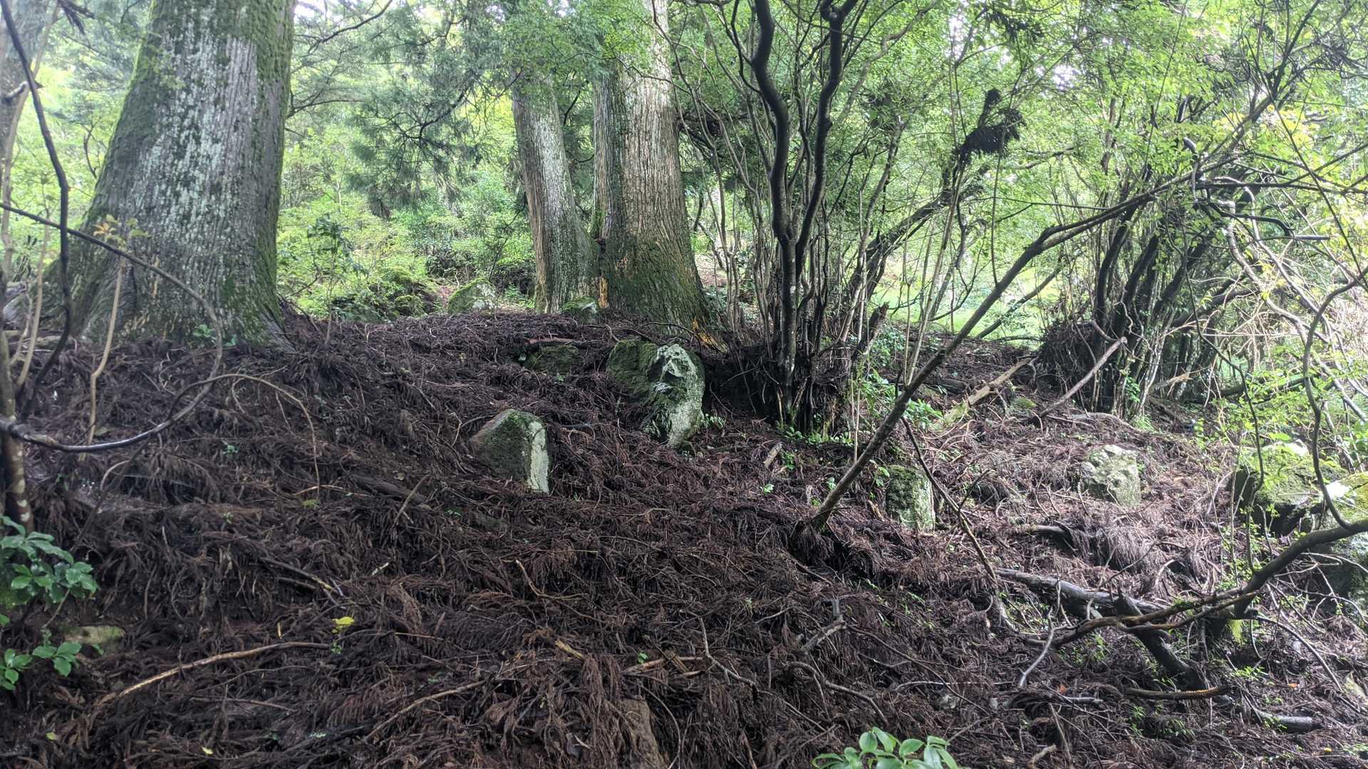 帰りのタヌキ岩
