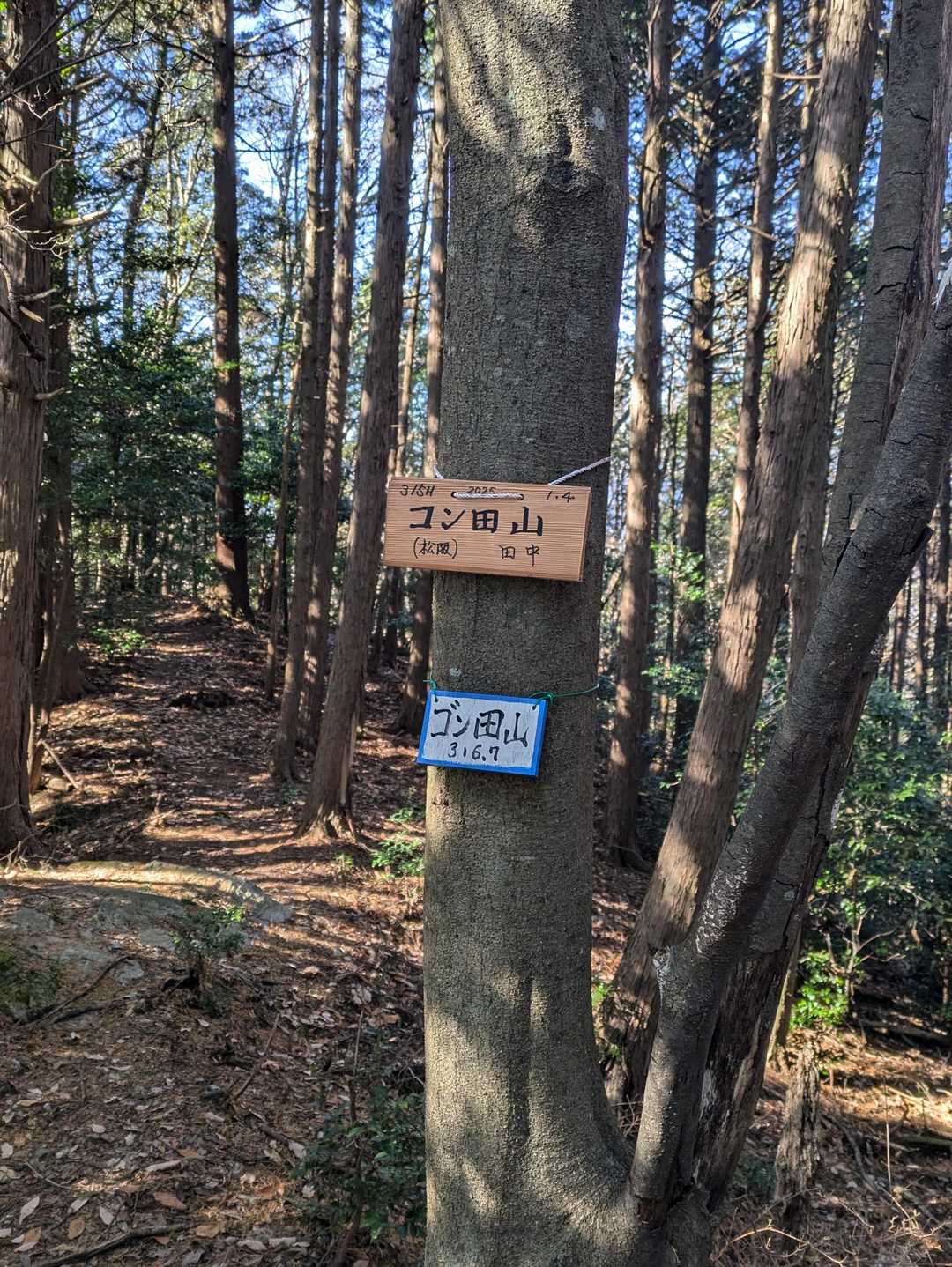最後のピークは、コン田山。