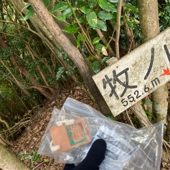 ラス1ゲット👍昨日までいっぱいあったのに😱駐車場で残り少ない情報を教えてもらったので、ぶっ飛ばしてきました💨頂上手前で、まくったお姉様方すいません🙏