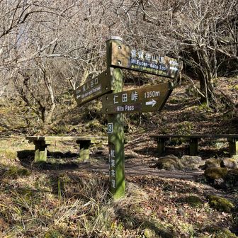 紅葉茶屋
ここからの登り返しがきつかったなあ五