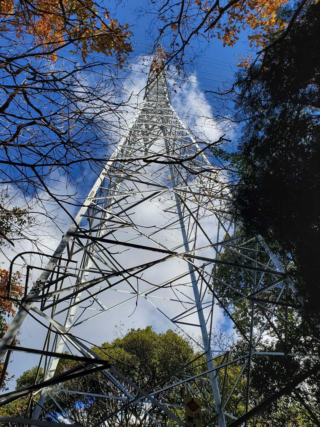 砥神山登り口-砥神山-御堂山登山口 周回コースの写真