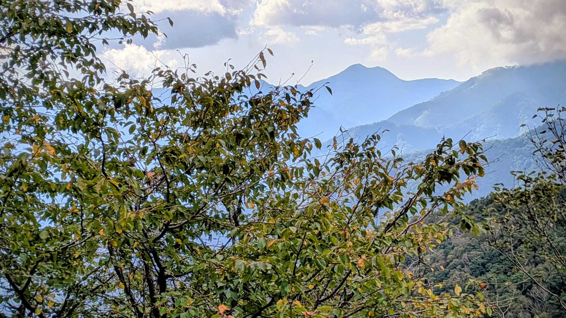 半月山登山口-半月峠-中禅寺山-阿世潟峠 往復コースの写真