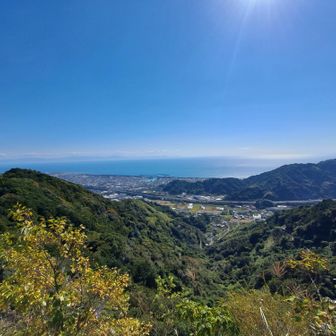 伊豆半島方面