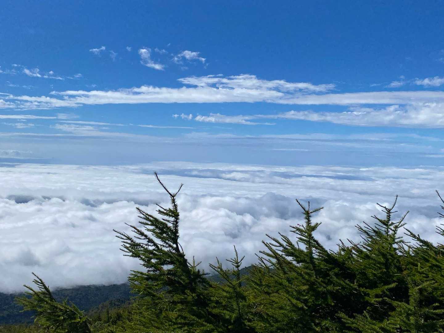 ここから見る雲海は素晴らしい