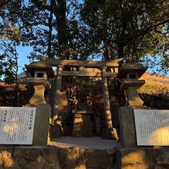 大山阿夫利神社⛩️