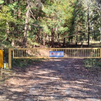 茅ヶ岳登山口。
ここからの車道歩きの登り坂が何気に長くて疲れを増強。