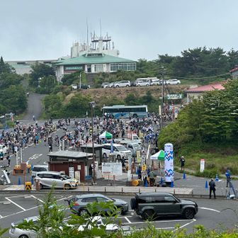 フリーマーケットかなと思ったら