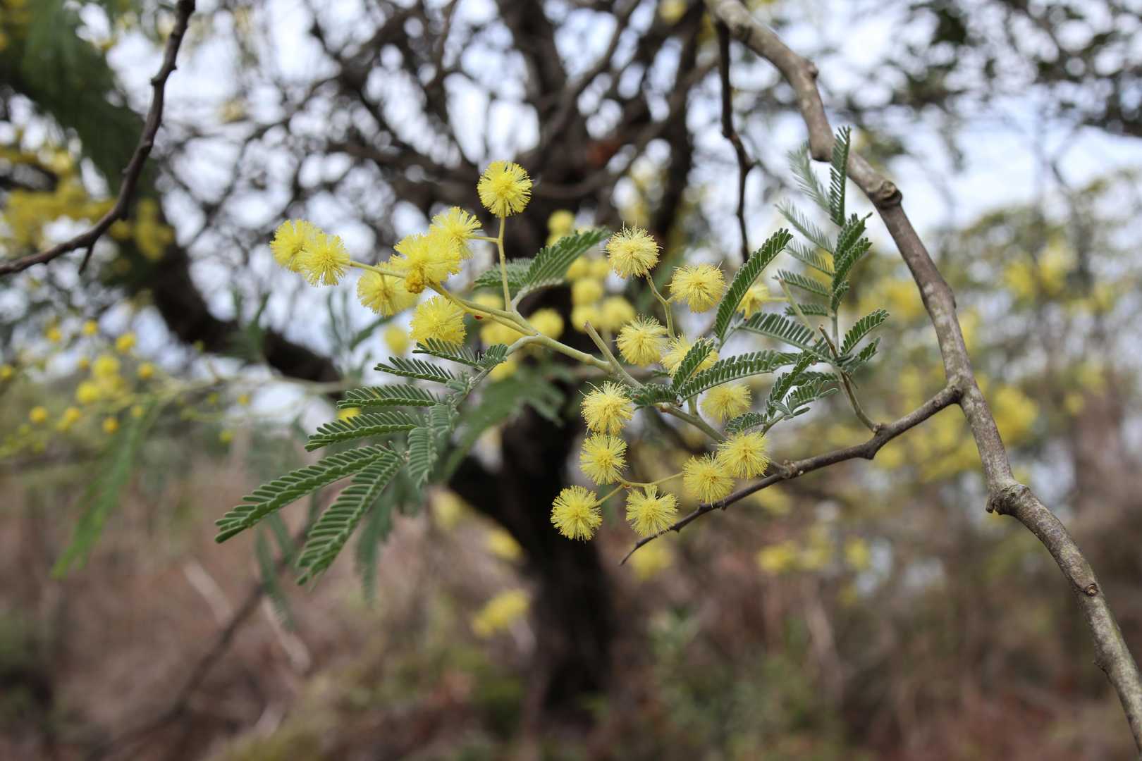 可愛い😍