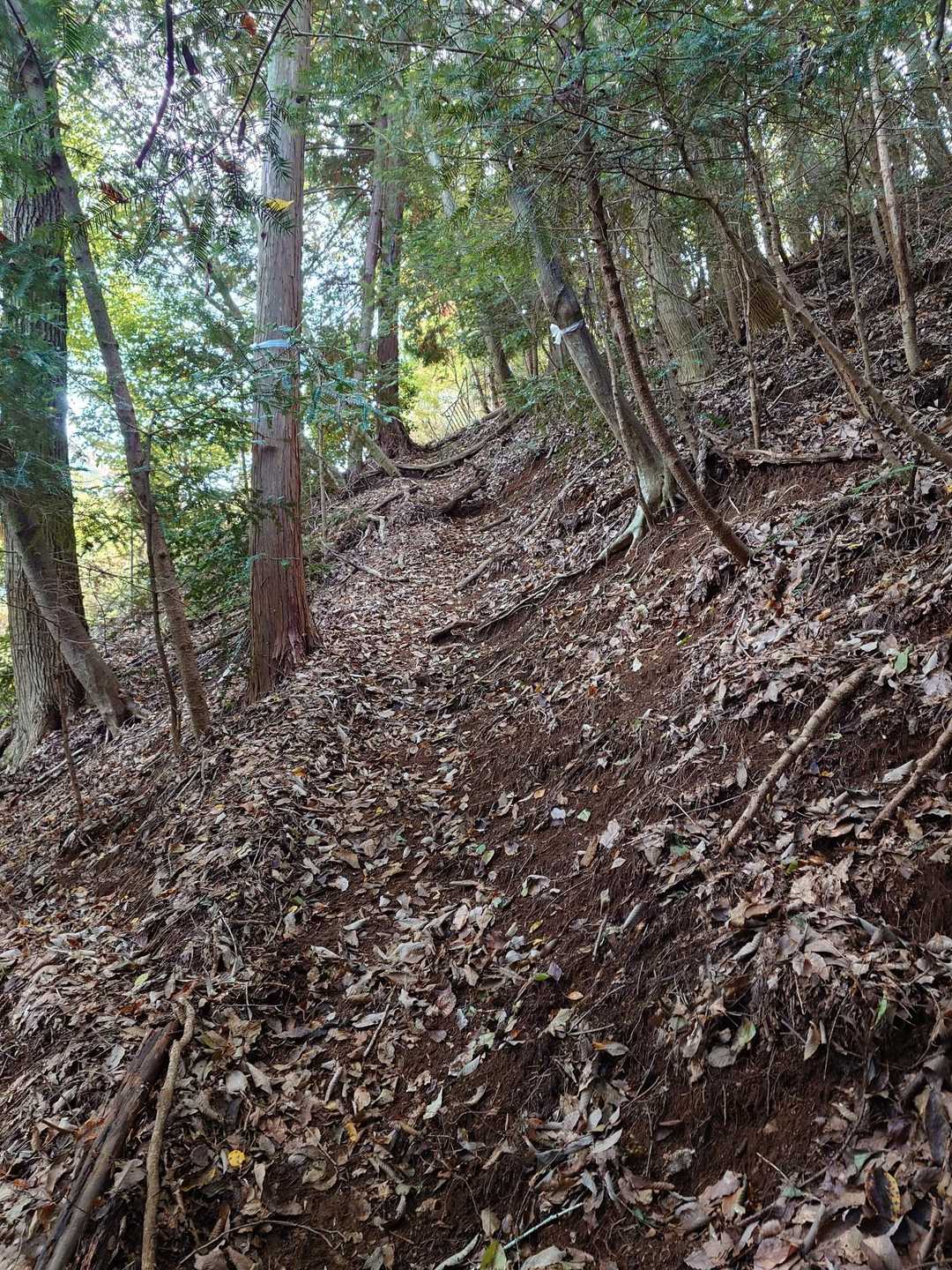 初っ端から急登が始まります