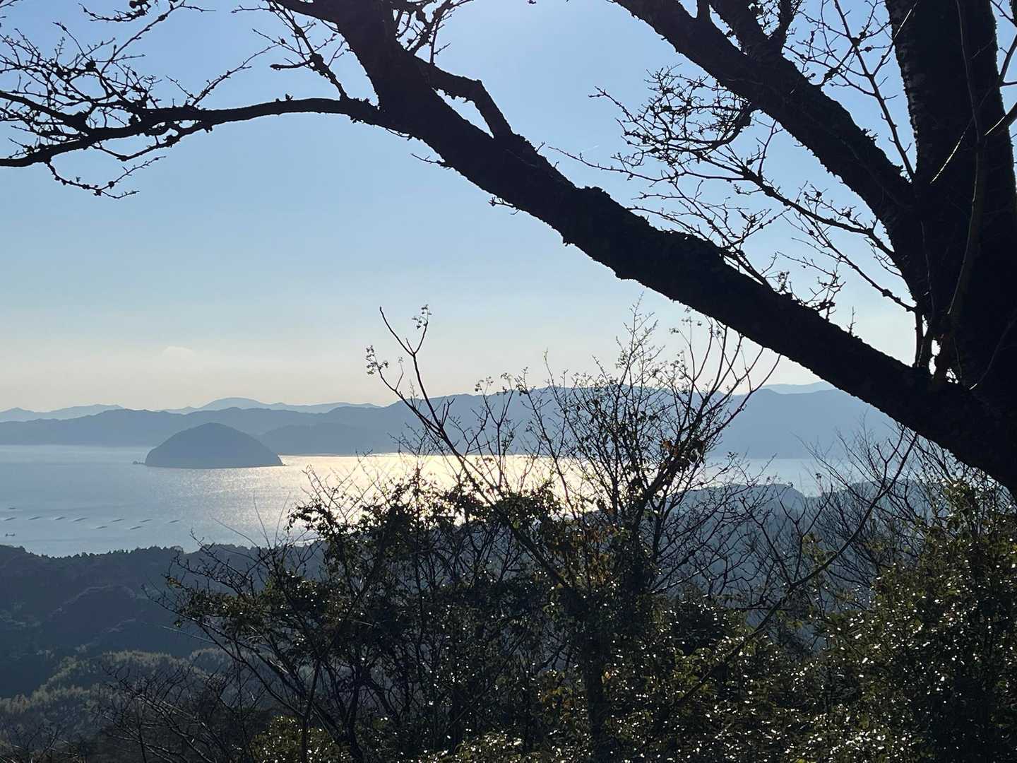 津久見島が浮かんだ海
太陽の光が当たってキラキラしてる