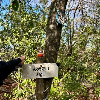 最後の妙光寺山山頂に到着。
山頂プレートにタッチ🫸